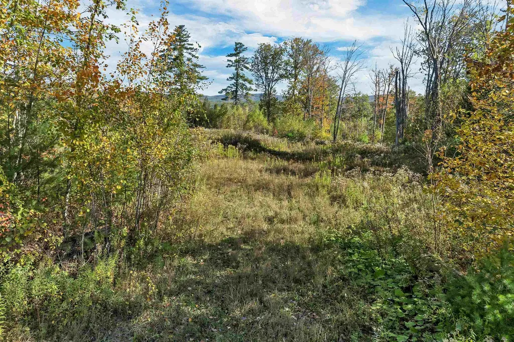 44 Williams Hill Road Grafton NH 03240