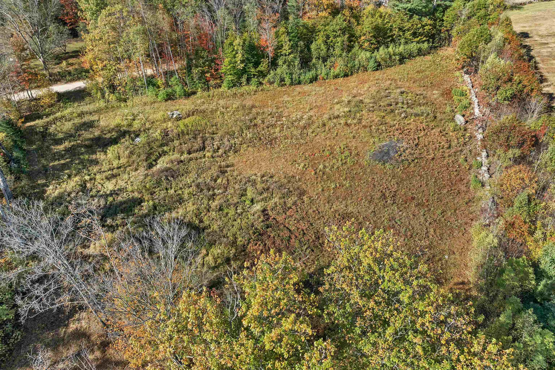 44 Williams Hill Road Grafton NH 03240