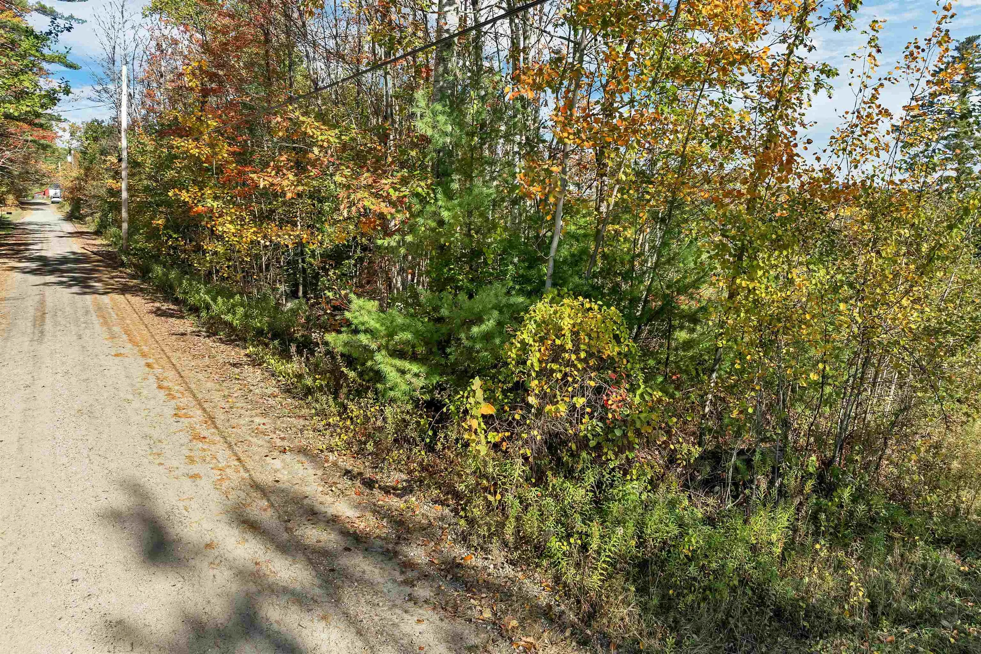 44 Williams Hill Road Grafton NH 03240