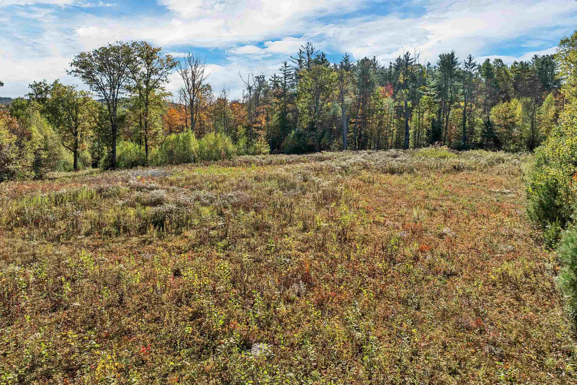 44 Williams Hill Road Grafton NH 03240