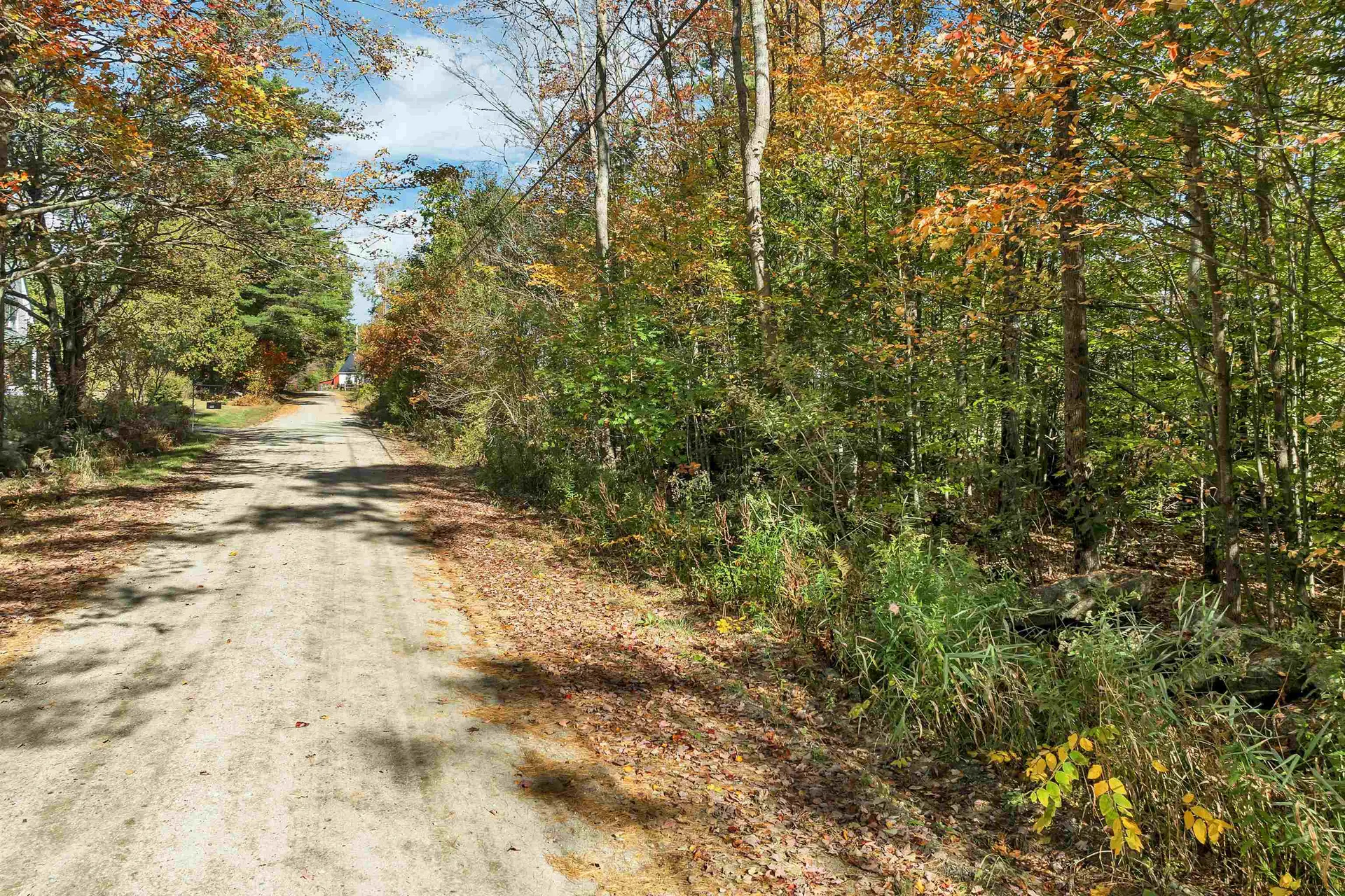 44 Williams Hill Road Grafton NH 03240