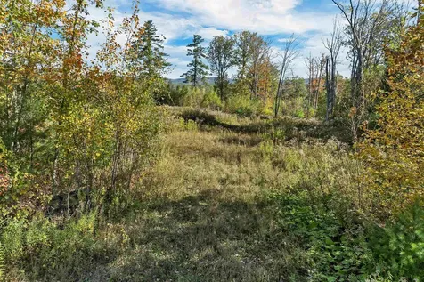 44 Williams Hill Road Grafton NH 03240