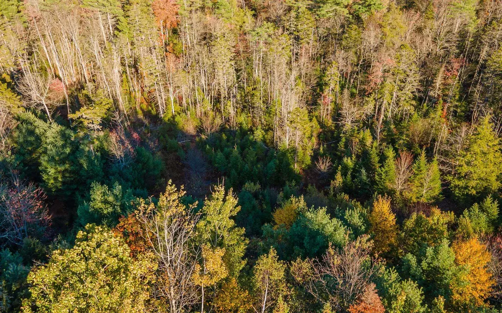 28 Wellington Road Rindge NH 03461