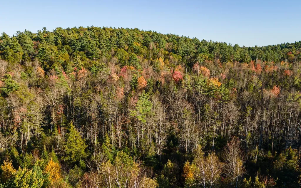 28 Wellington Road Rindge NH 03461