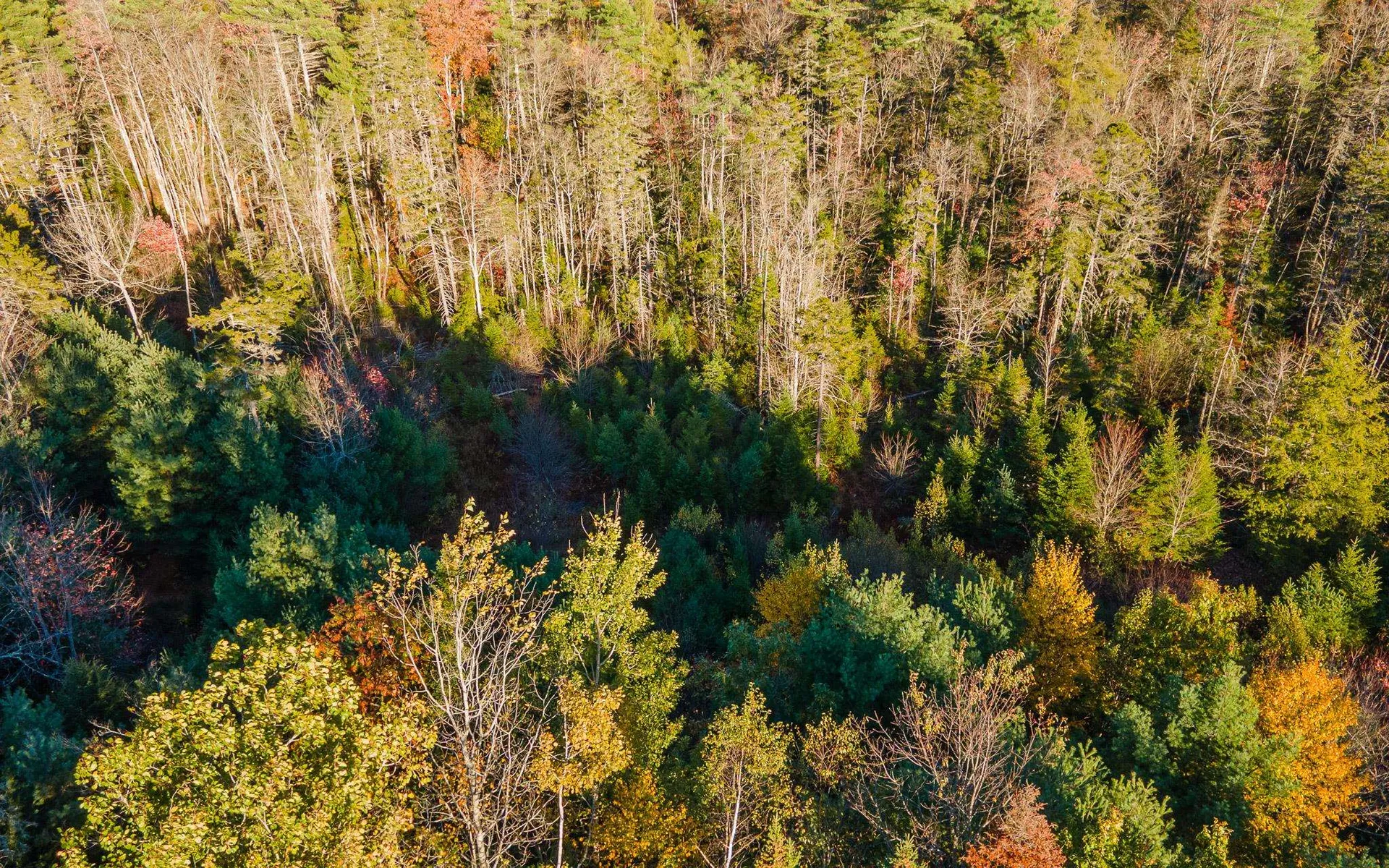 28 Wellington Road Rindge NH 03461