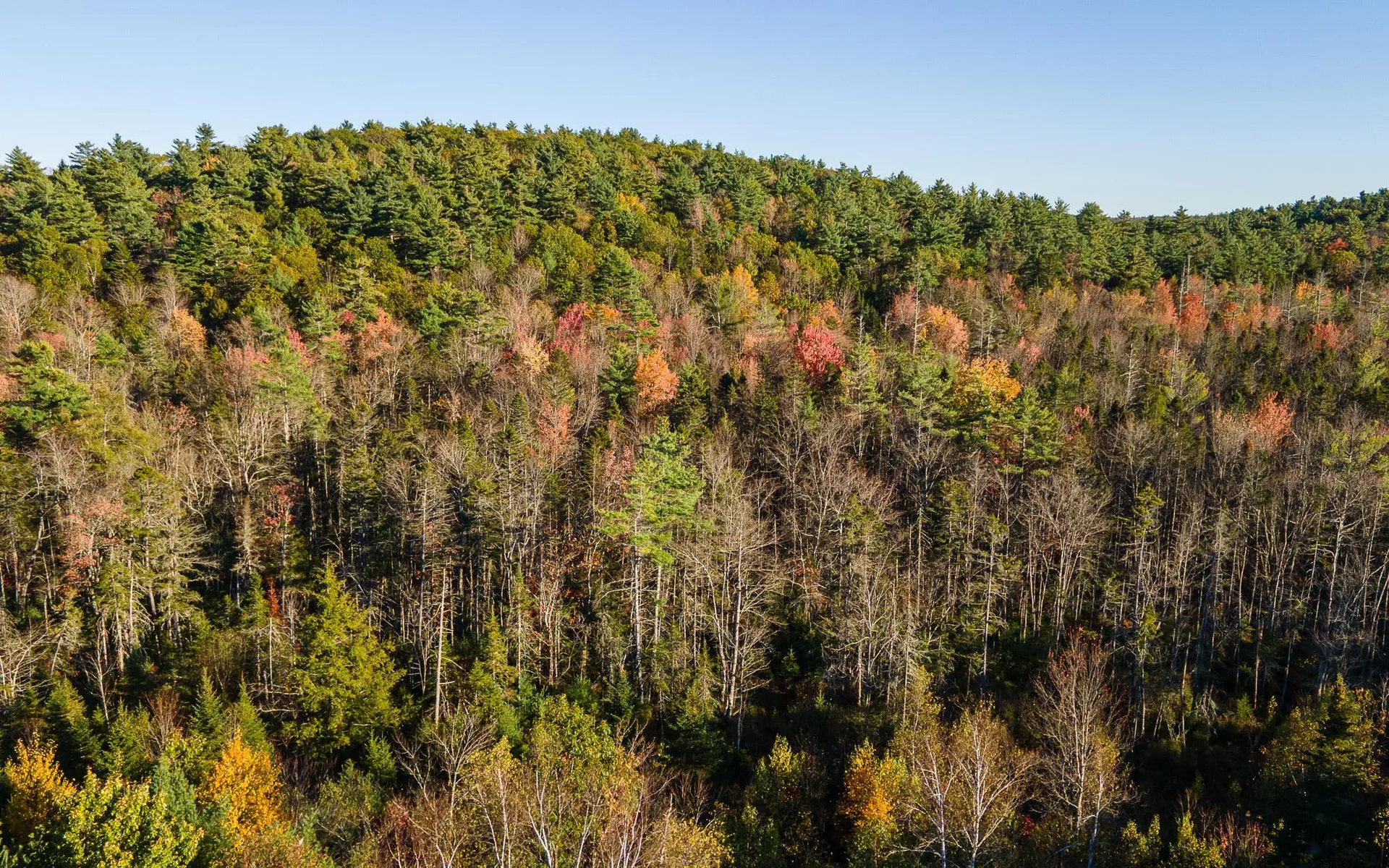 28 Wellington Road Rindge NH 03461