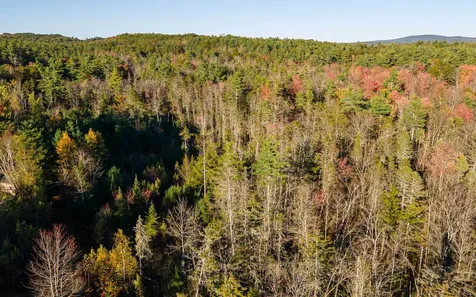 28 Wellington Road Rindge NH 03461