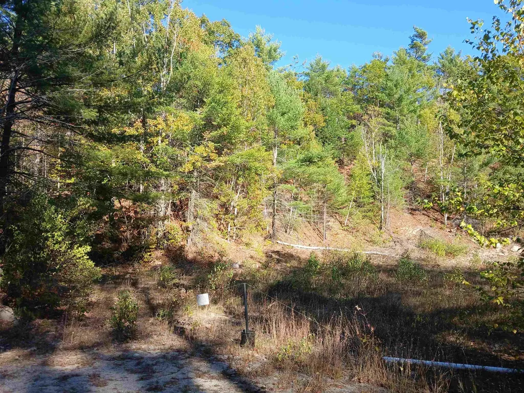 Lots 30 And 34 Kings Highway New Durham NH 03855