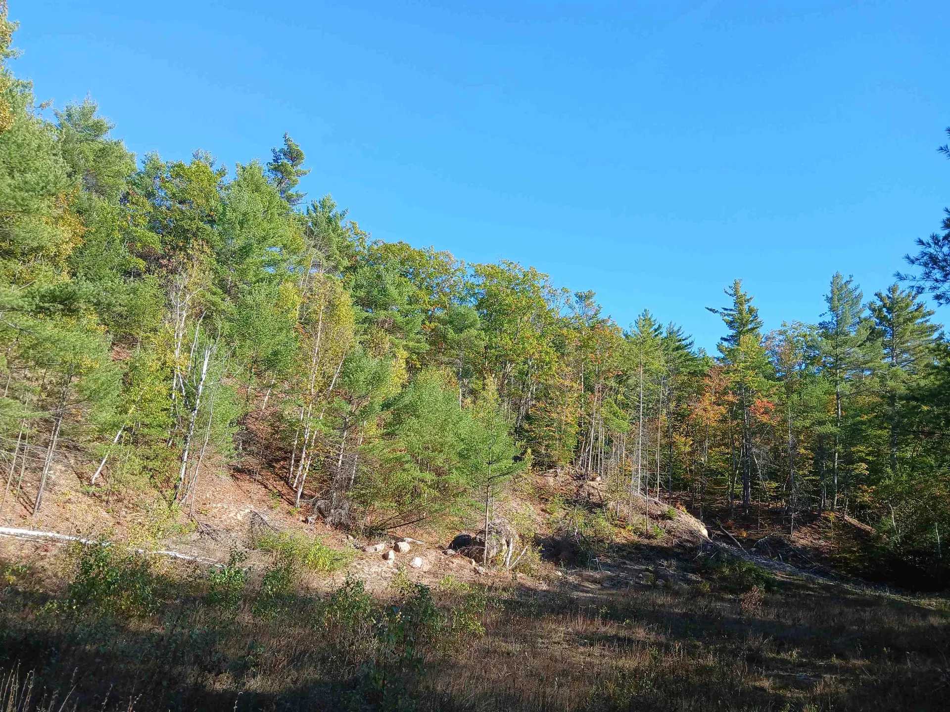 Lots 30 And 34 Kings Highway New Durham NH 03855