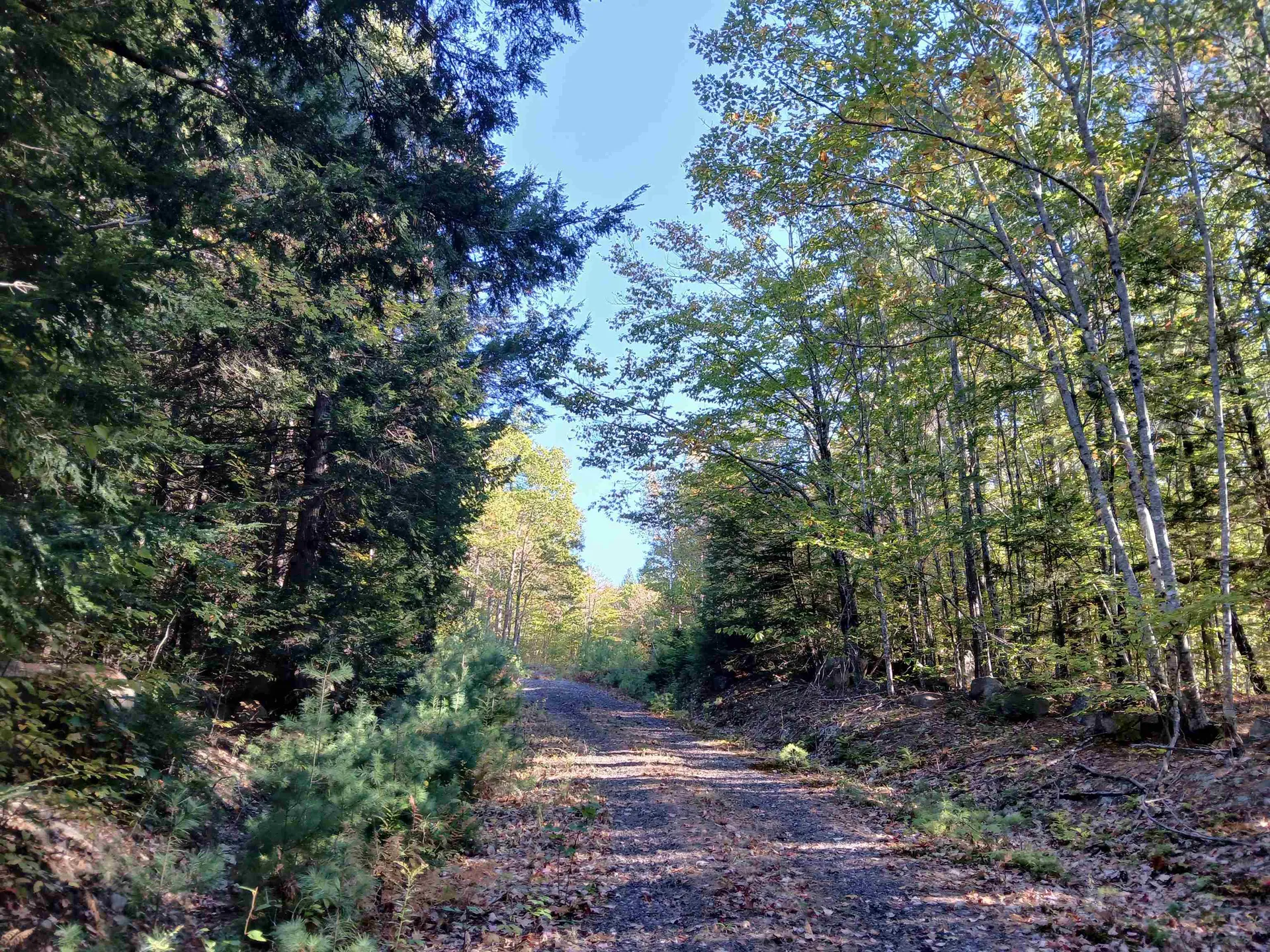 Lots 30 And 34 Kings Highway New Durham NH 03855