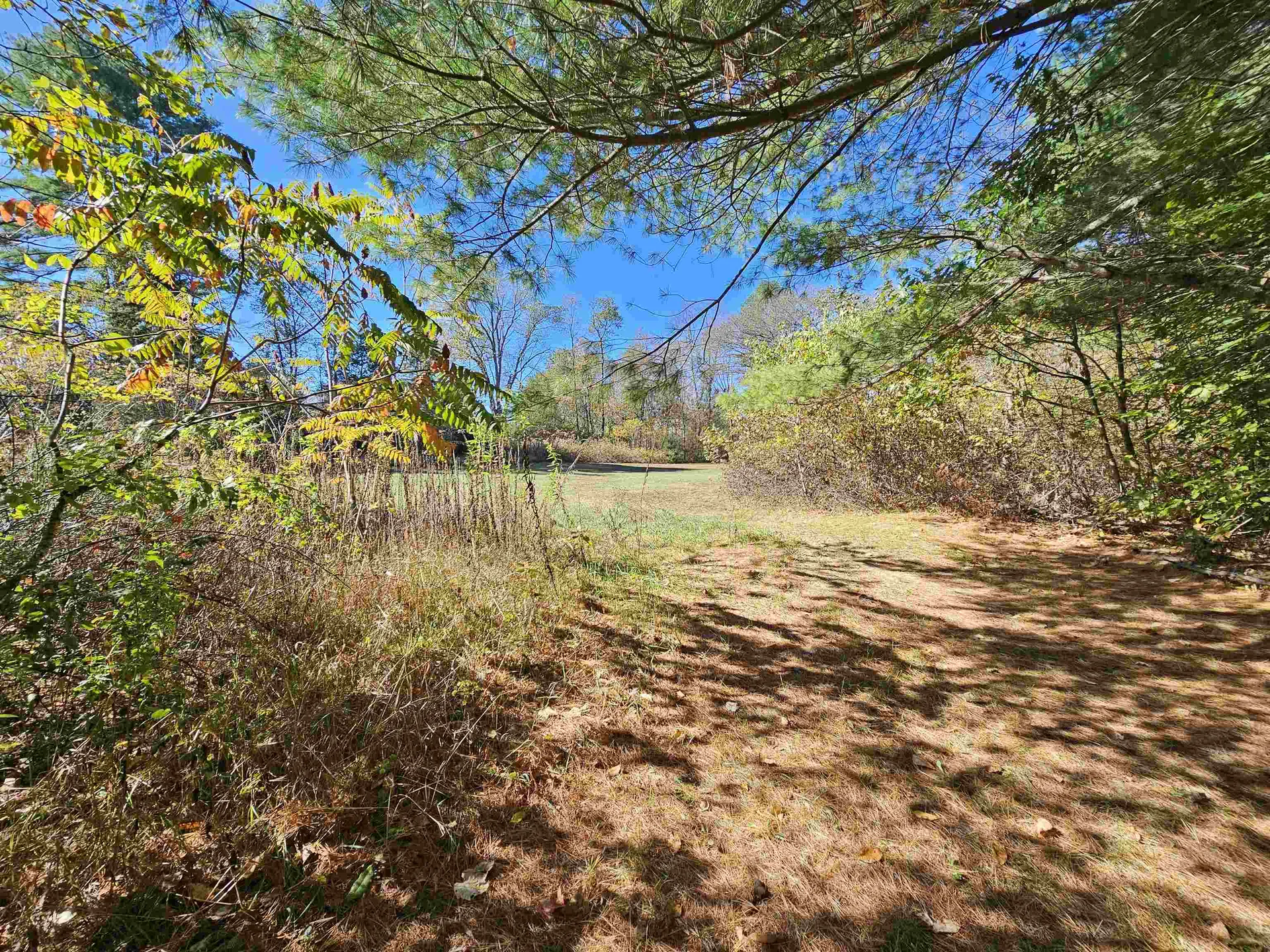 48 School Street Springfield VT 05150