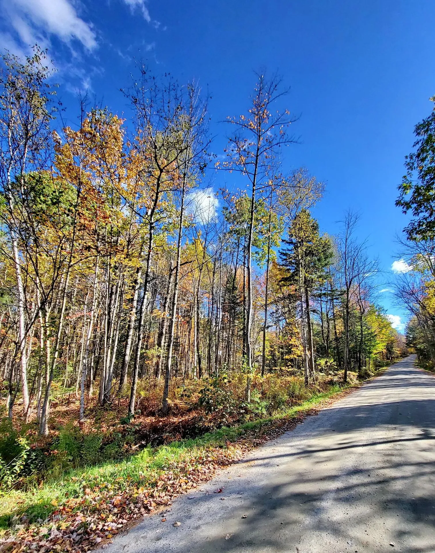 00 Swazey Lane Bethlehem NH 03574