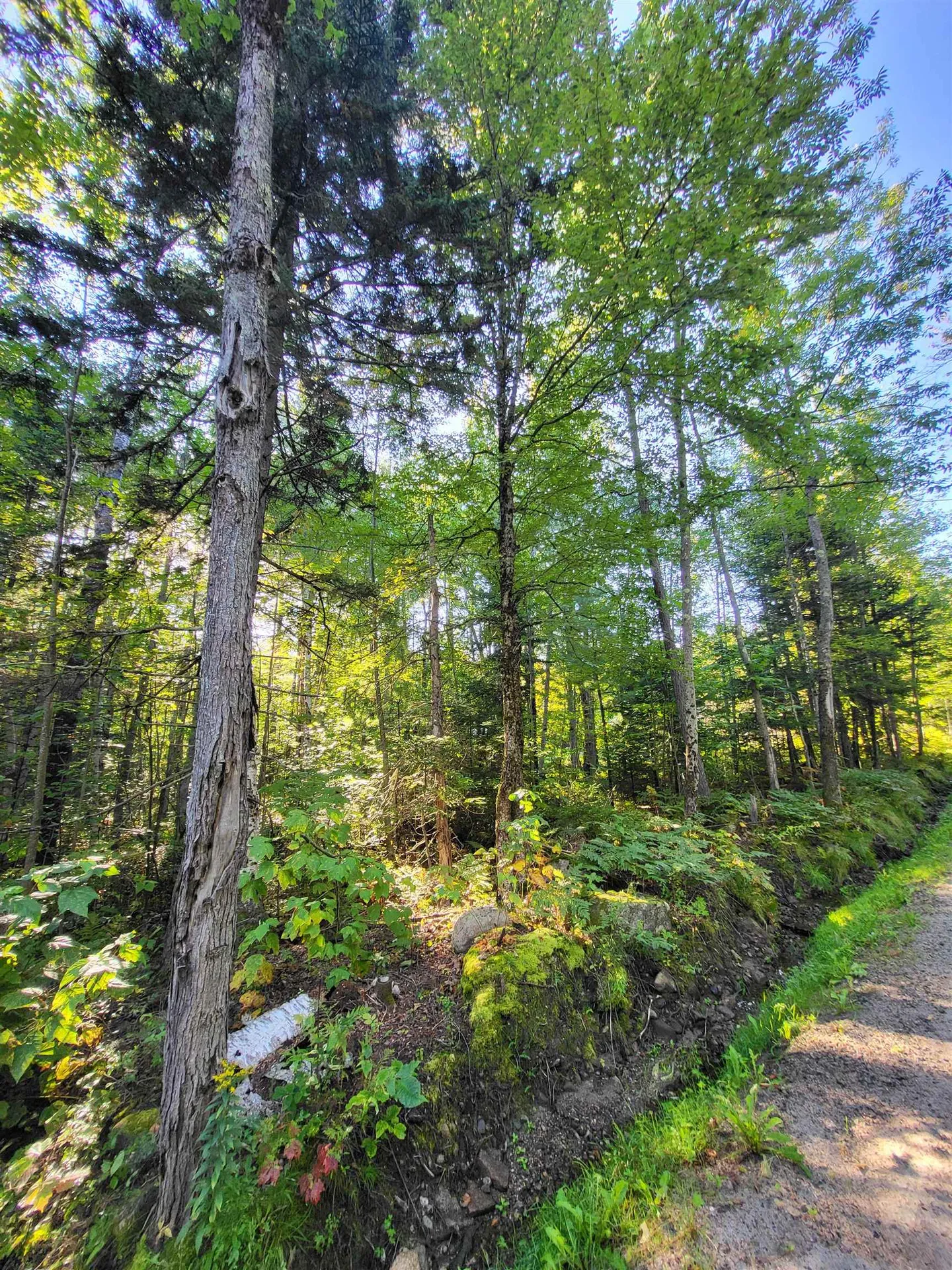 00 Swazey Lane Bethlehem NH 03574