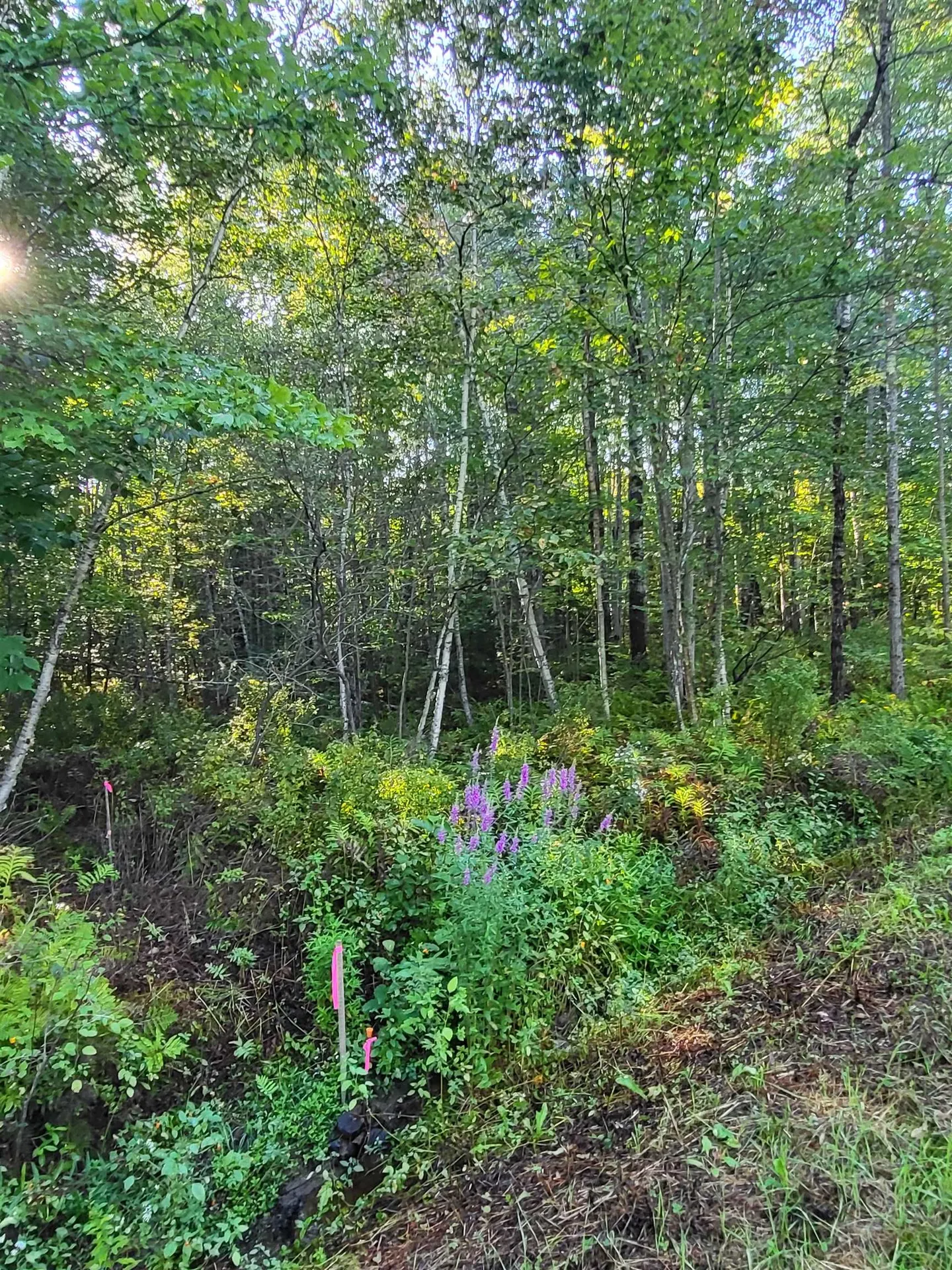 00 Swazey Lane Bethlehem NH 03574