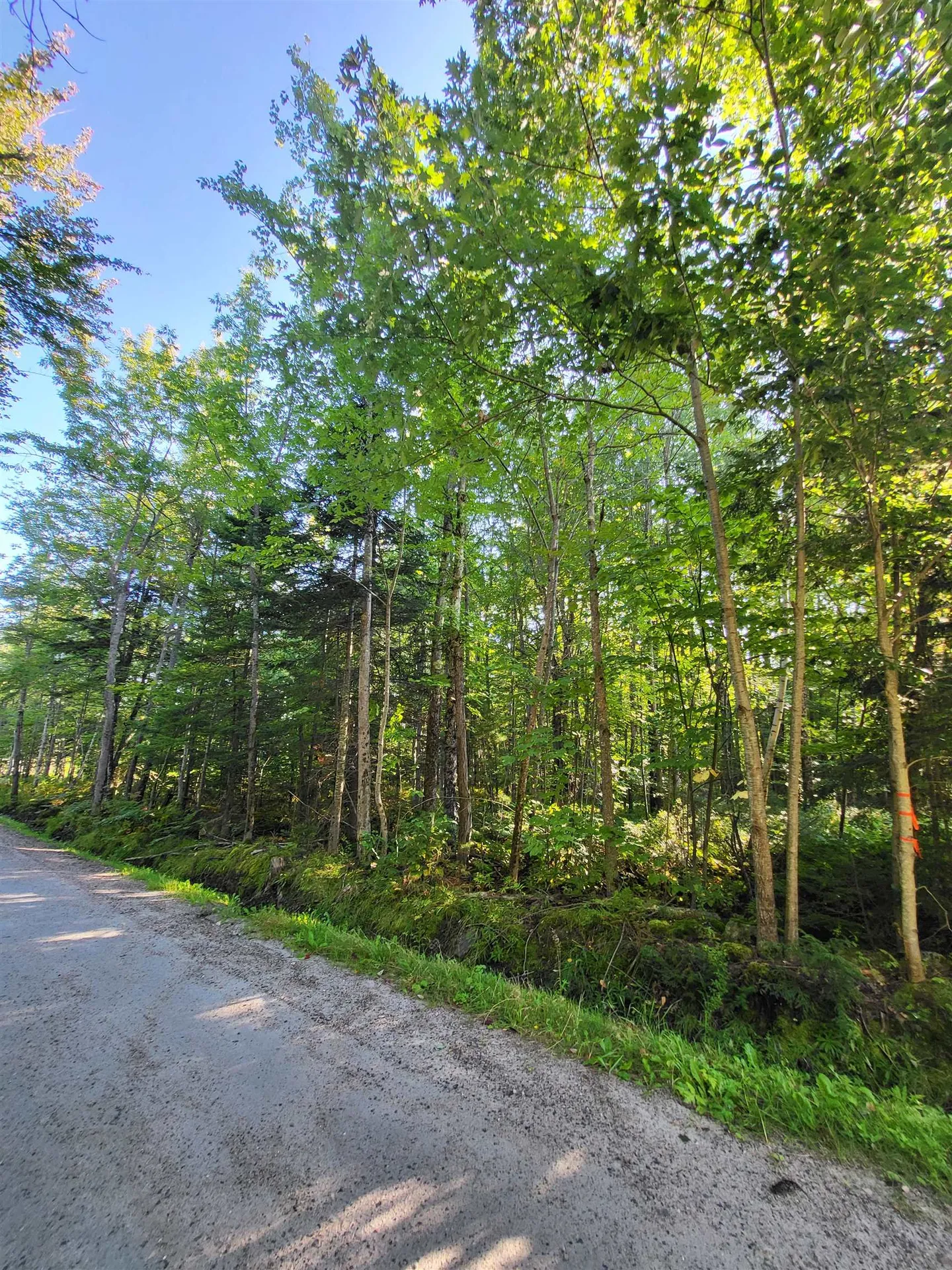 00 Swazey Lane Bethlehem NH 03574