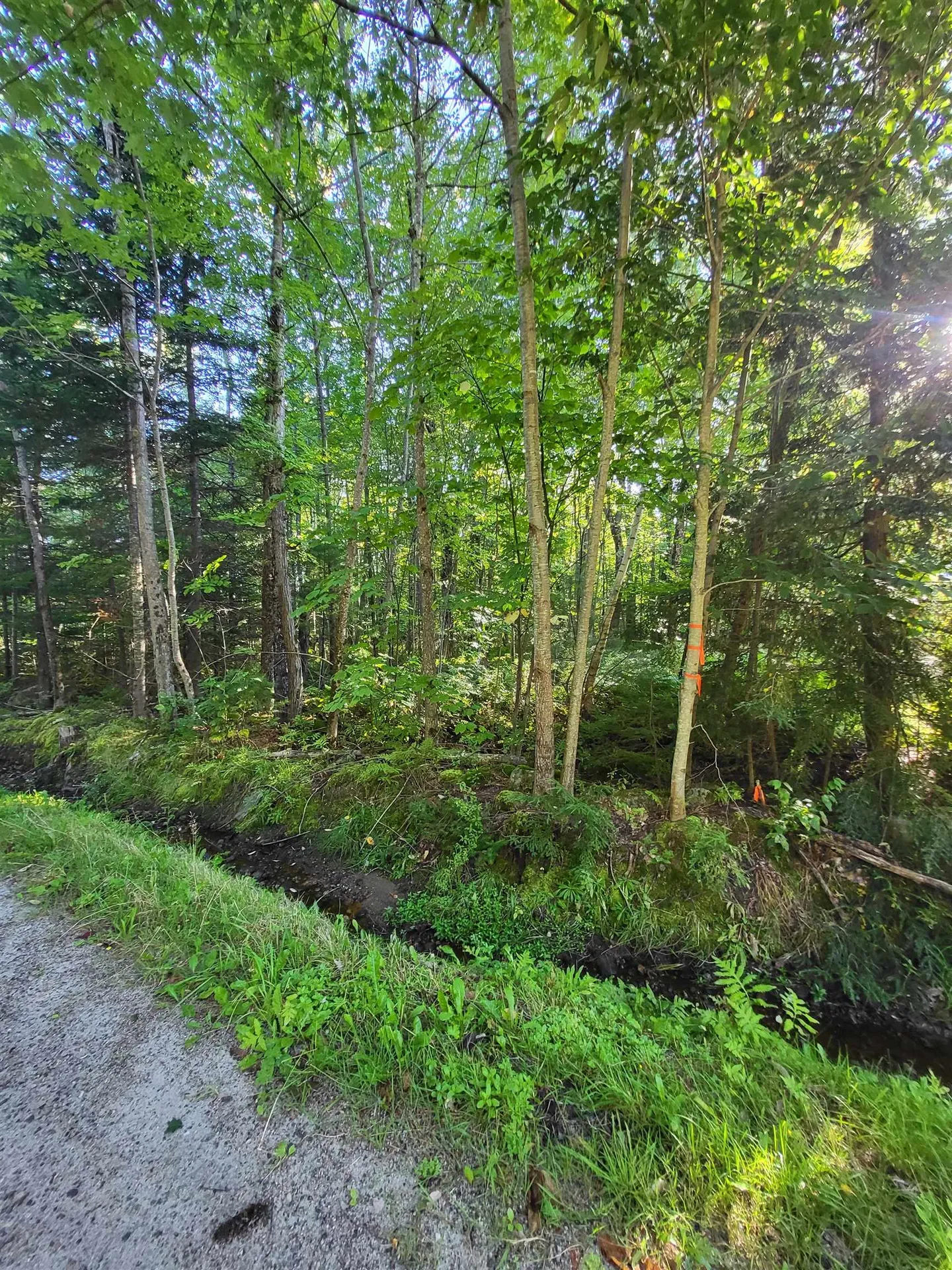 00 Swazey Lane Bethlehem NH 03574