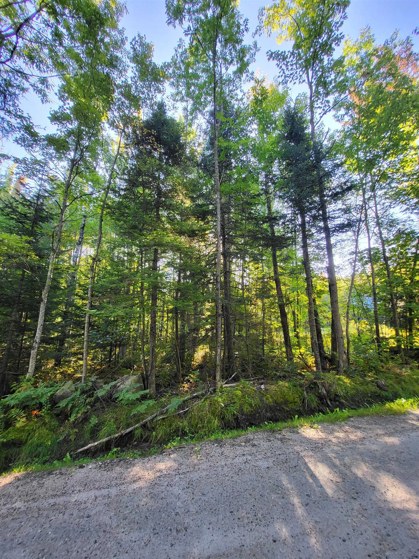 00 Swazey Lane Bethlehem NH 03574