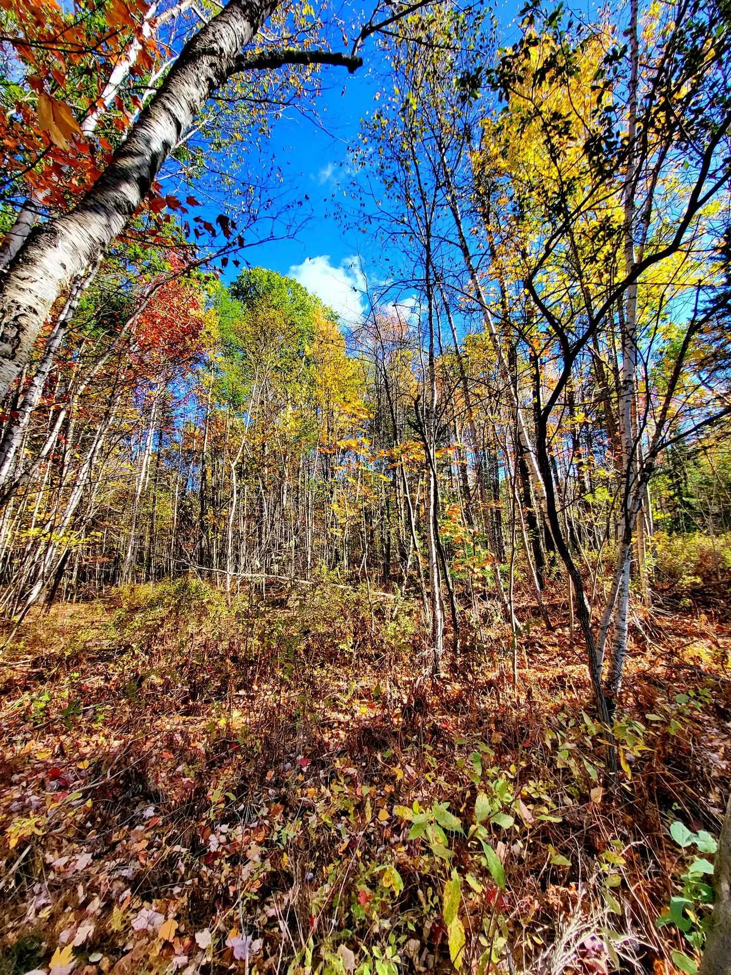 00 Swazey Lane Bethlehem NH 03574