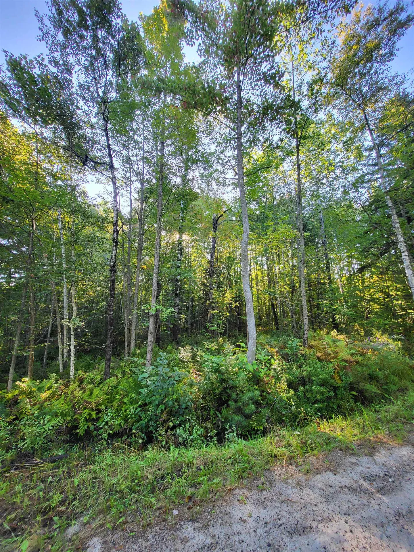 00 Swazey Lane Bethlehem NH 03574