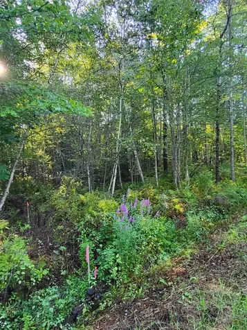 00 Swazey Lane Bethlehem NH 03574