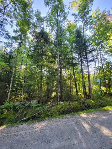 00 Swazey Lane Bethlehem NH 03574