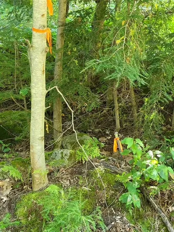 00 Swazey Lane Bethlehem NH 03574