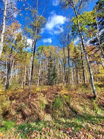 00 Swazey Lane Bethlehem NH 03574