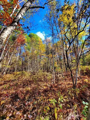 00 Swazey Lane Bethlehem NH 03574