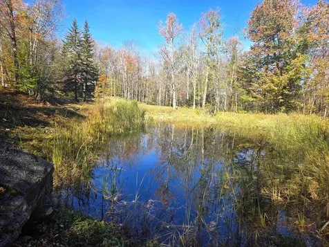 22 Old Route 4 Killington VT 05751