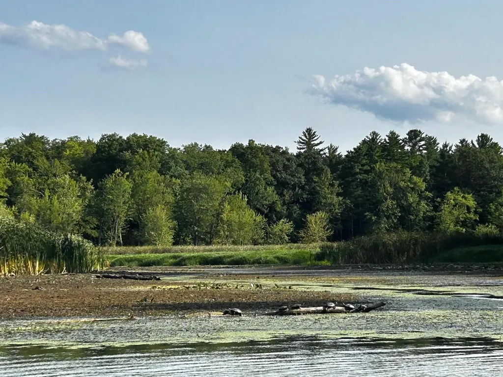 20 Yacht Haven Drive Shelburne VT 05482
