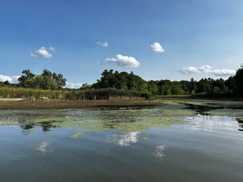 20 Yacht Haven Drive Shelburne VT 05482