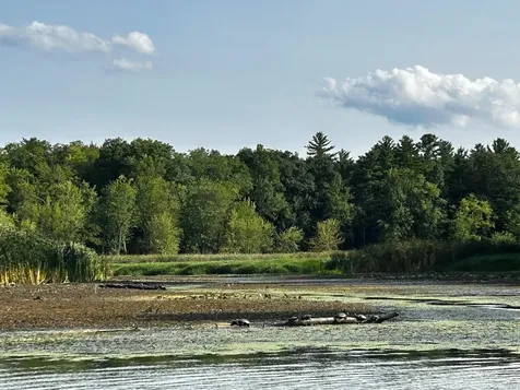 20 Yacht Haven Drive Shelburne VT 05482