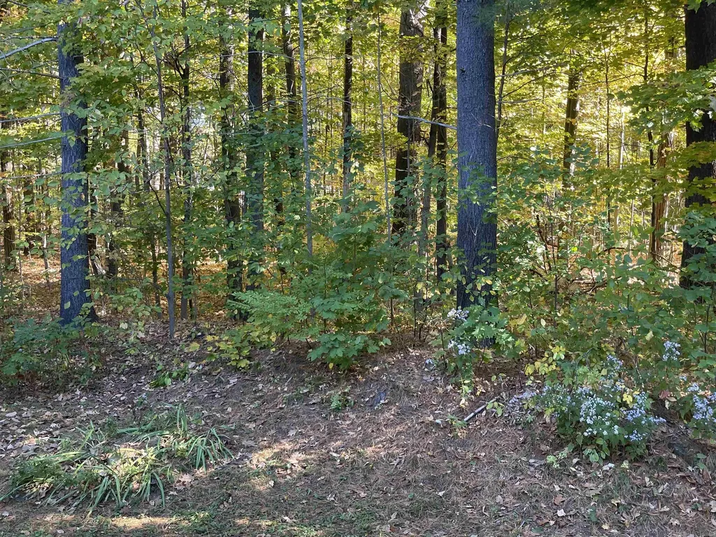 204 Mechanic Street Lebanon NH 03766