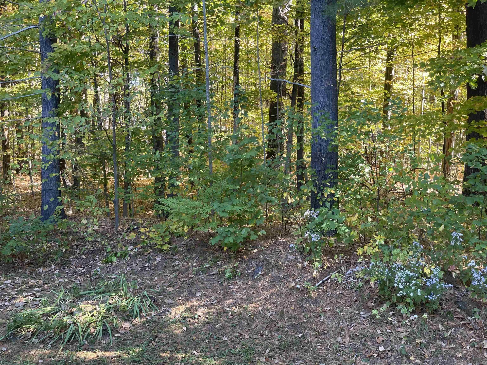 204 Mechanic Street Lebanon NH 03766