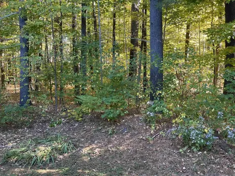 204 Mechanic Street Lebanon NH 03766