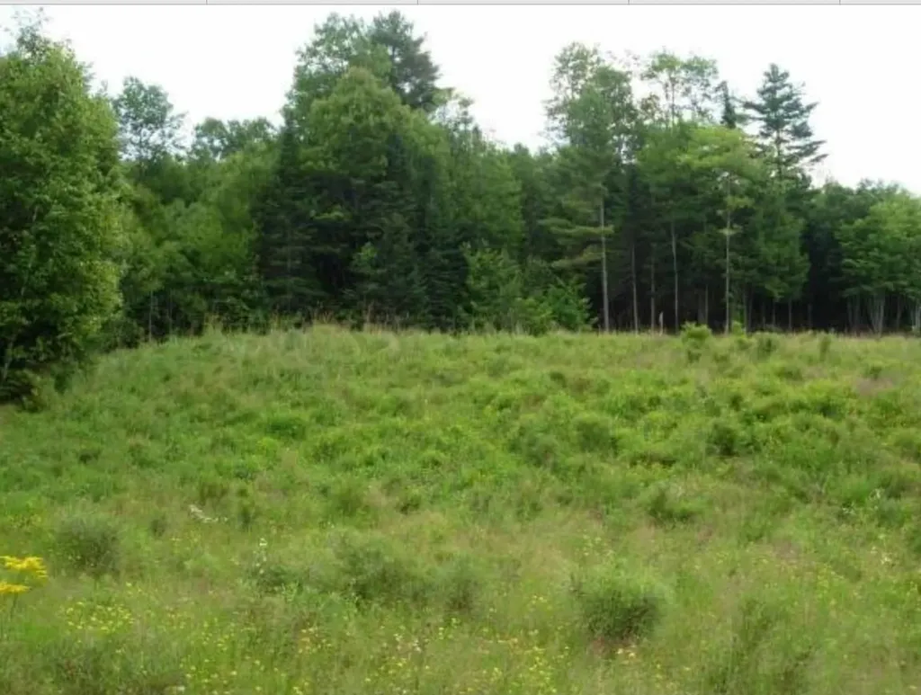 Lot 4 Catterall Road Lisbon NH 03585