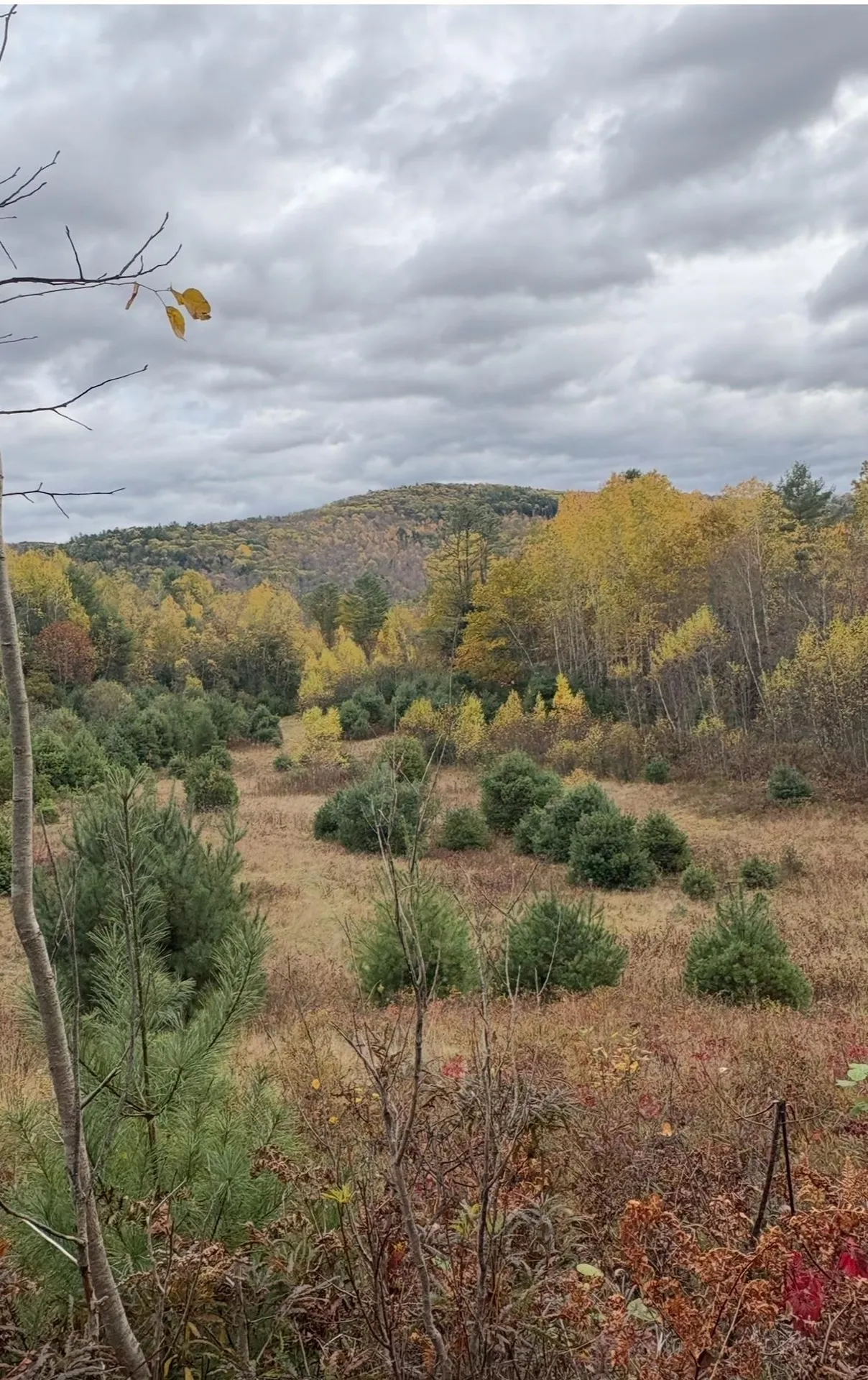 Lot 4 Catterall Road Lisbon NH 03585