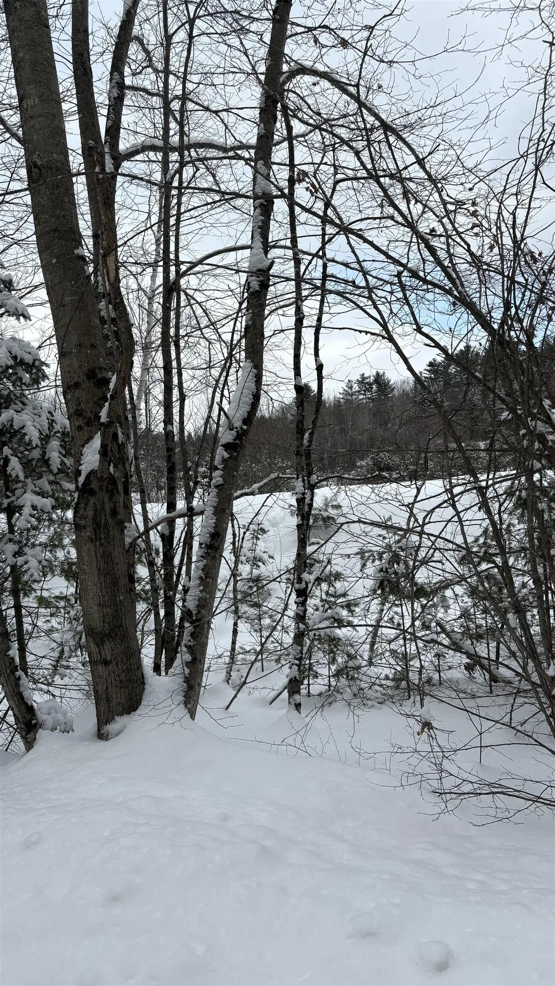 Lot 4 Catterall Road Lisbon NH 03585