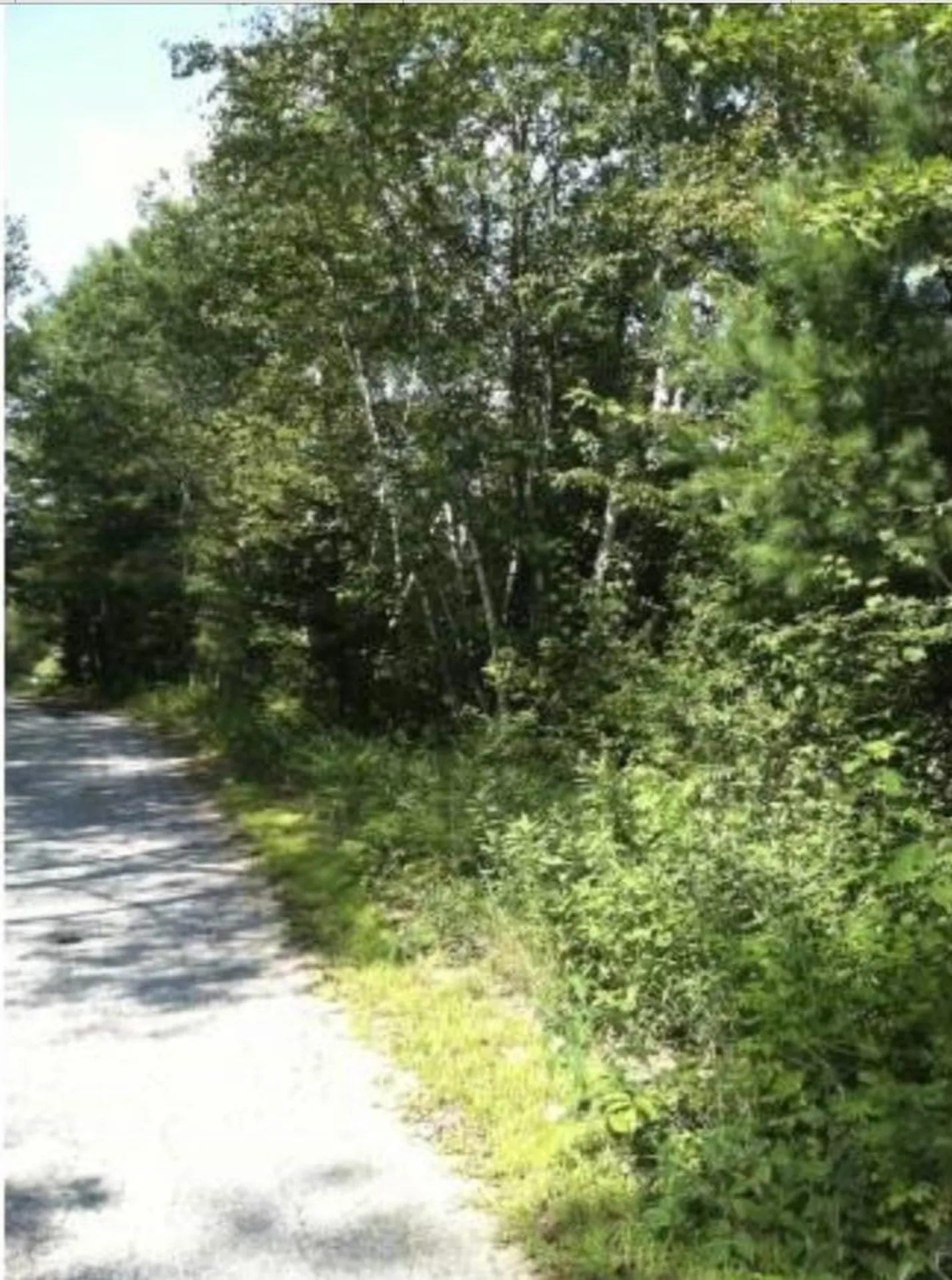 Lot 4 Catterall Road Lisbon NH 03585