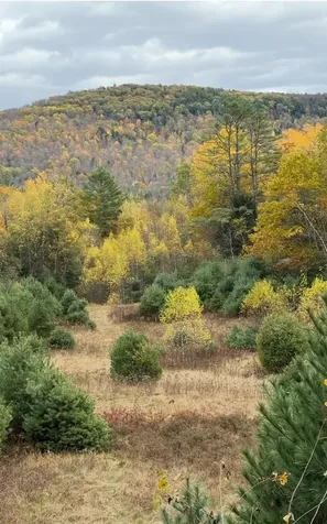 Lot 4 Catterall Road Lisbon NH 03585