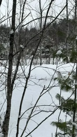 Lot 4 Catterall Road Lisbon NH 03585