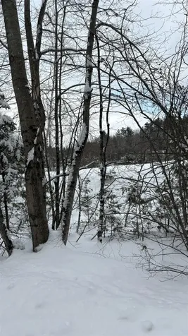 Lot 4 Catterall Road Lisbon NH 03585
