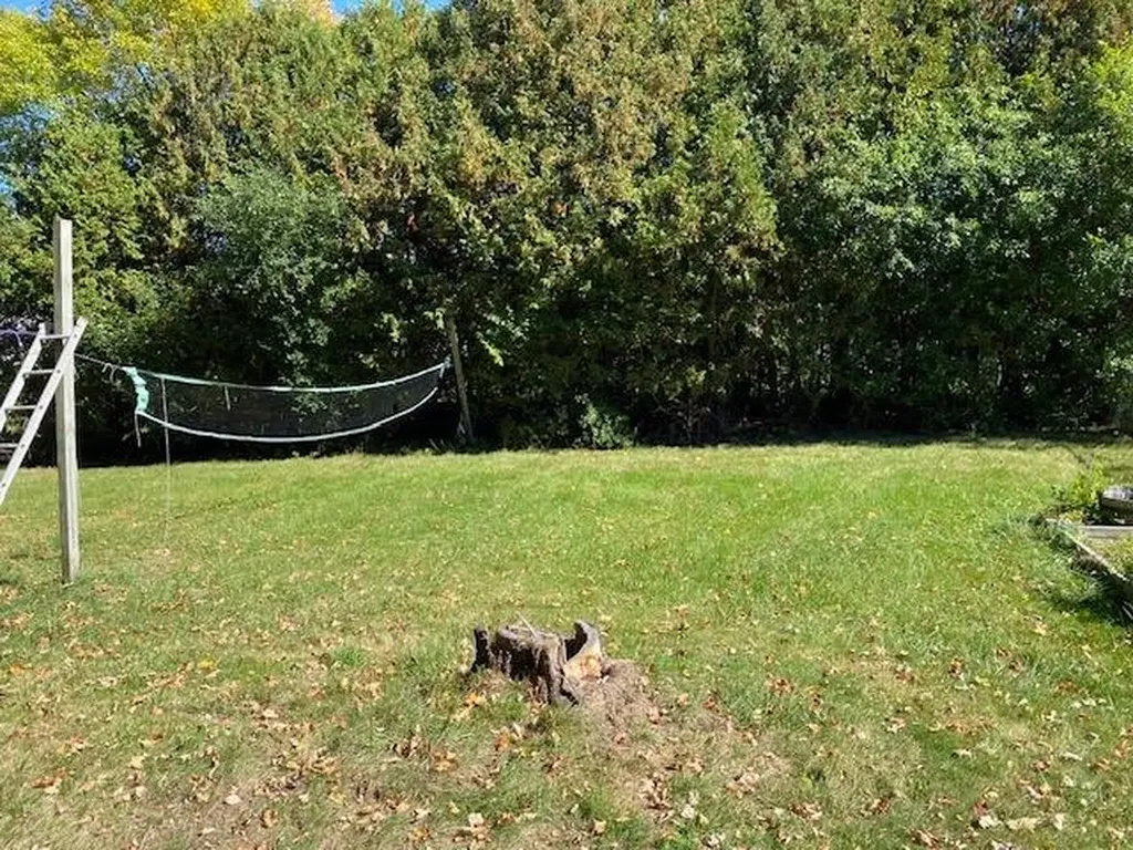 246 East Avenue Burlington VT 05401