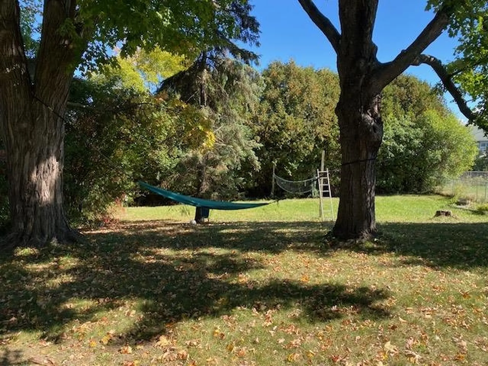 246 East Avenue Burlington VT 05401