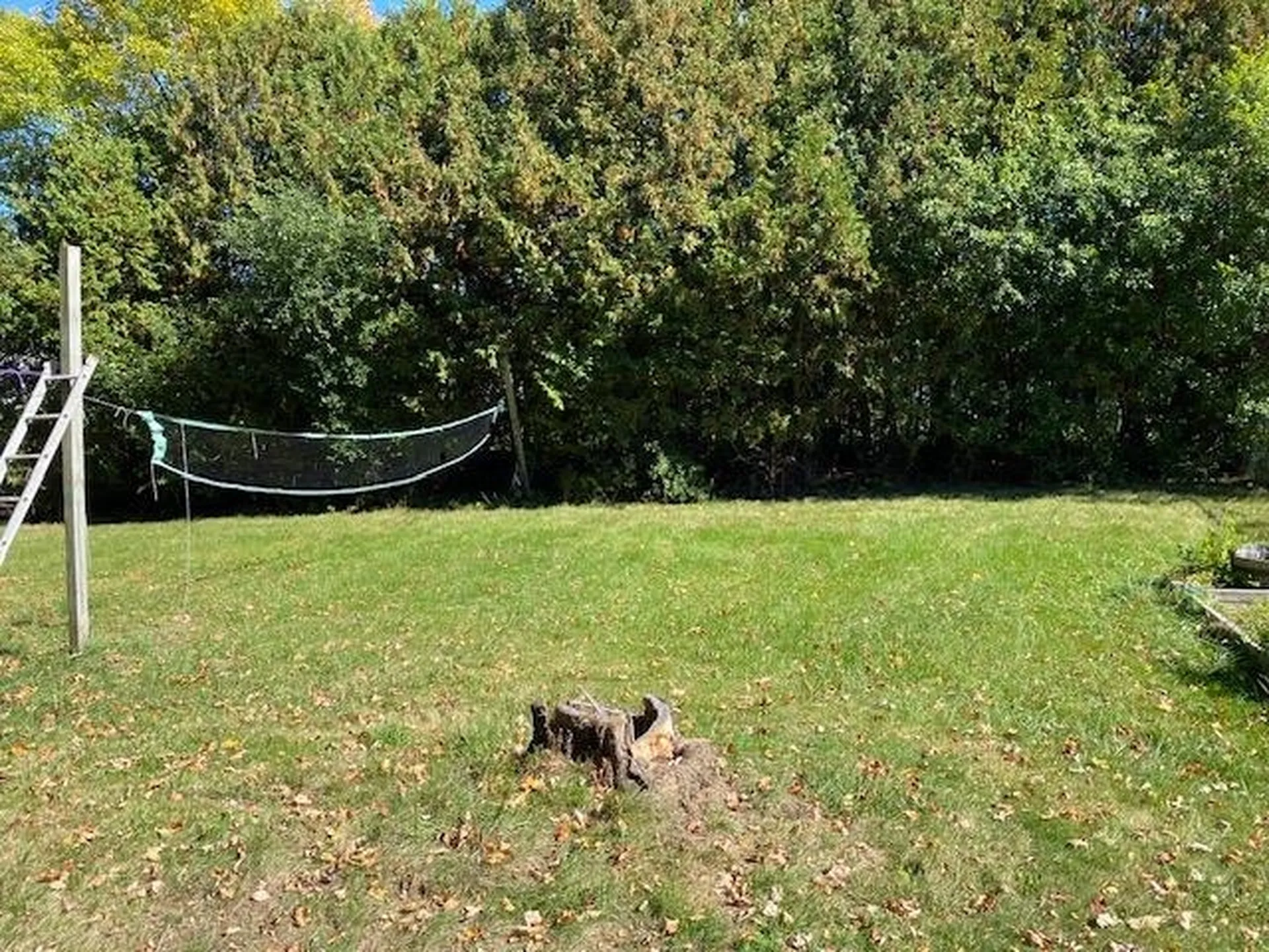 246 East Avenue Burlington VT 05401