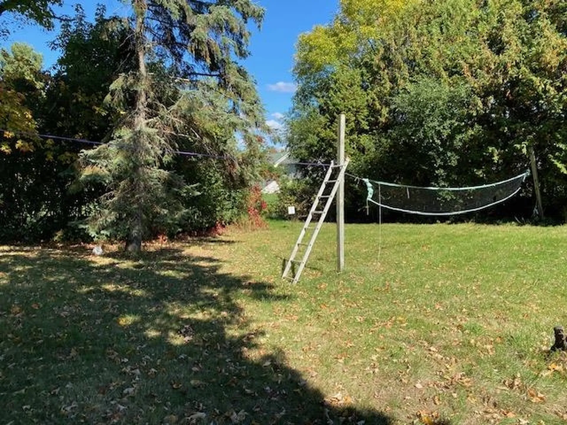 246 East Avenue Burlington VT 05401