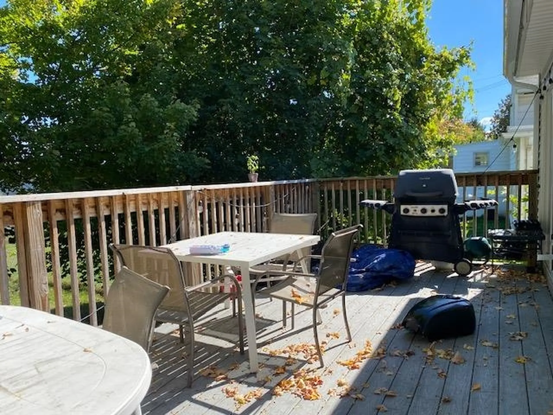 246 East Avenue Burlington VT 05401