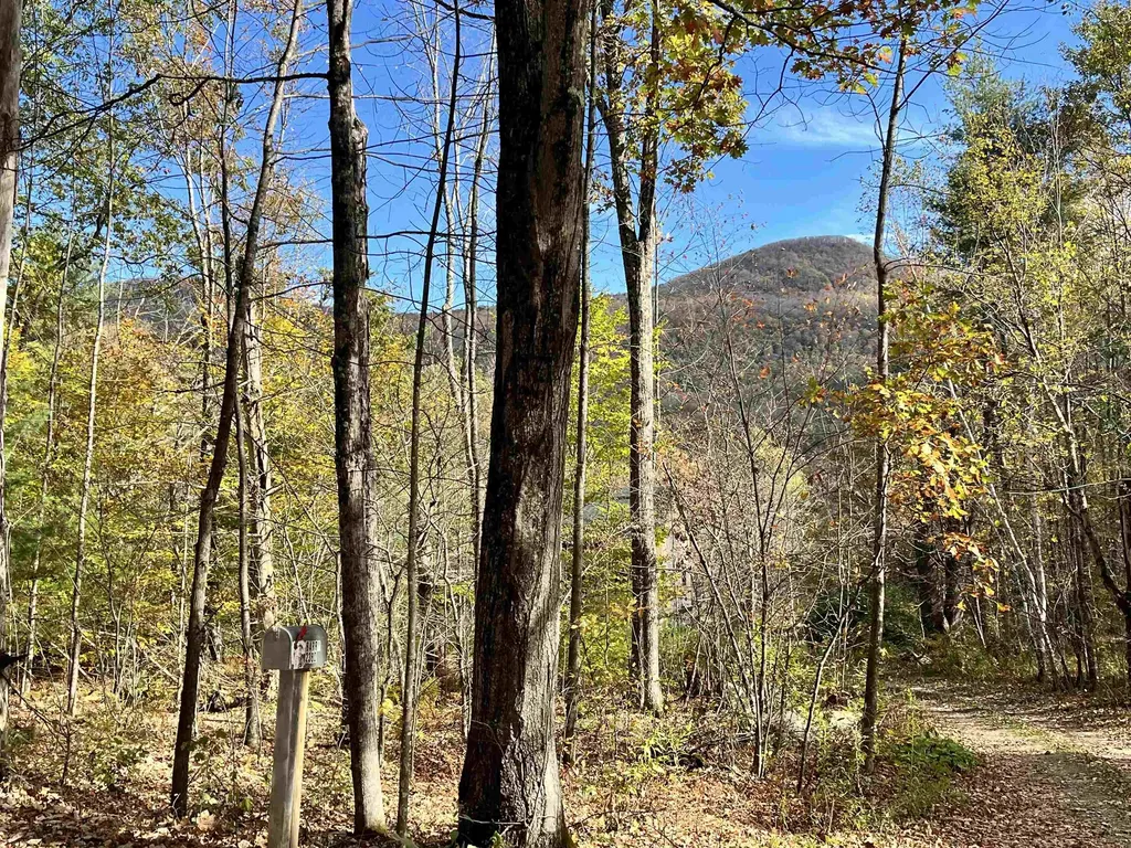 2383 Birch Hill Road Brandon VT 05733