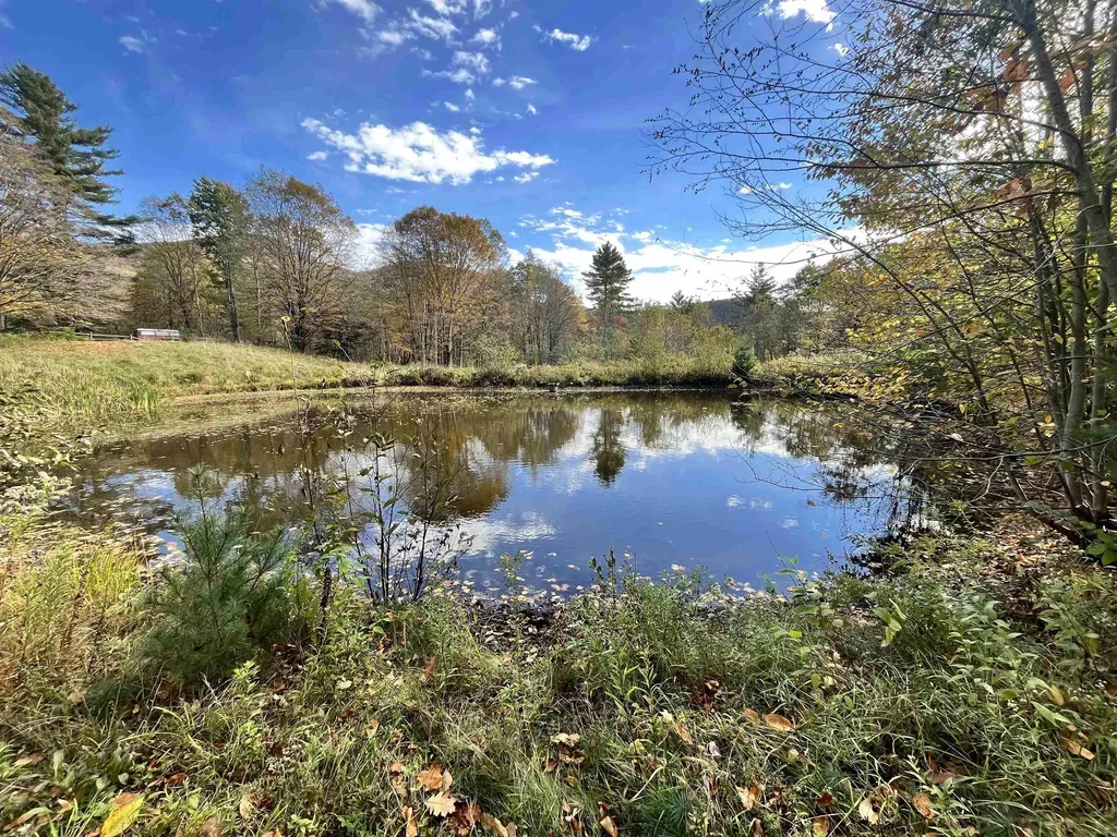 2383 Birch Hill Road Brandon VT 05733