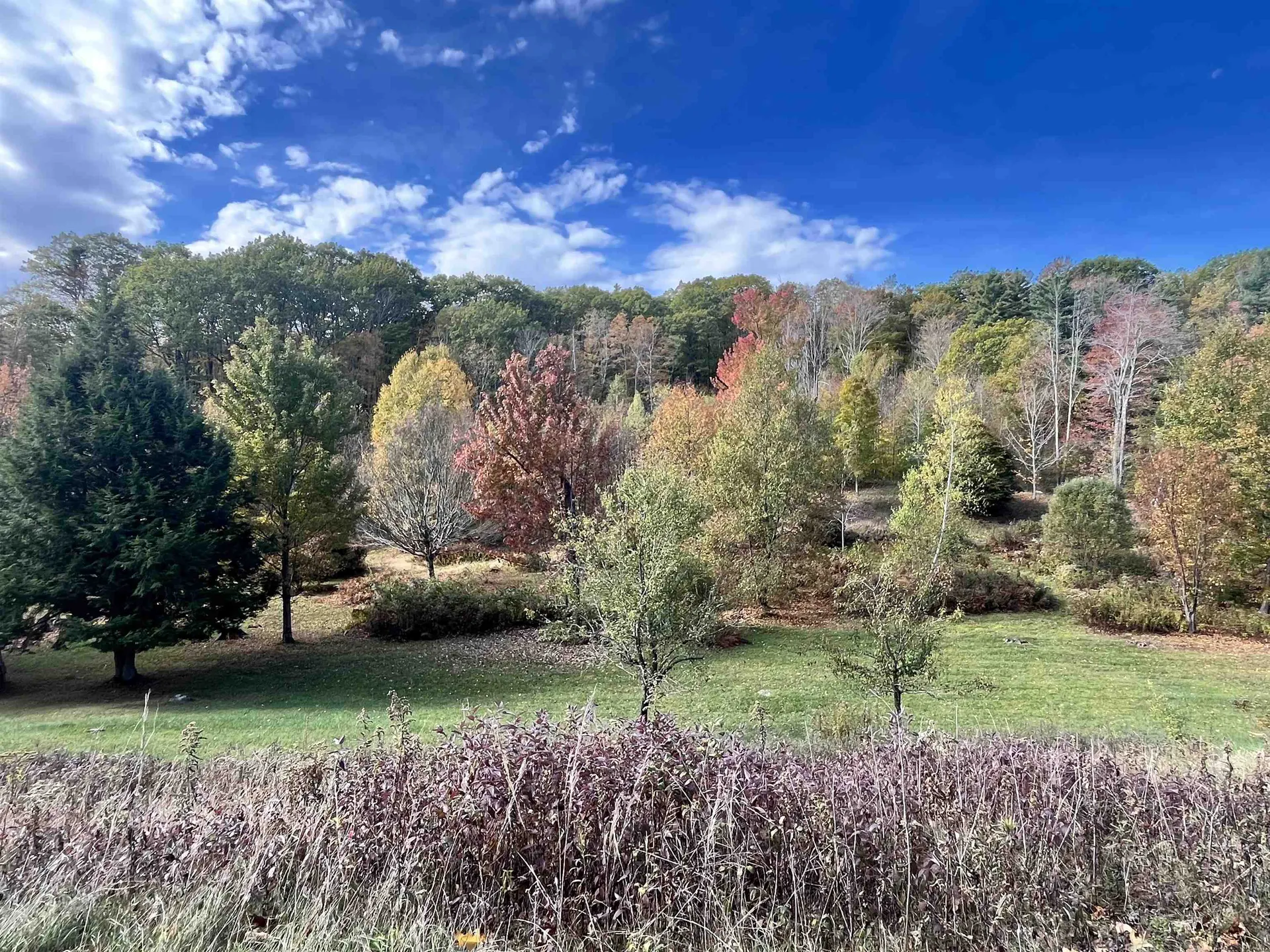 2383 Birch Hill Road Brandon VT 05733